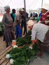 Keiskammahoek Farmers Market Day: reviving the rural economy for small-holder farmers